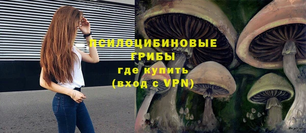стаф Абдулино