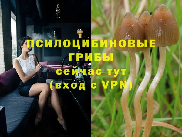 MDMA Алексеевка