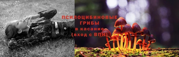 шишки Алзамай
